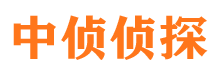 武陟调查取证